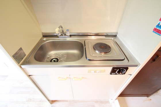 キッチン　※別号室の写真です