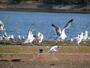 公園　野鳥の楽園（公園）まで550m