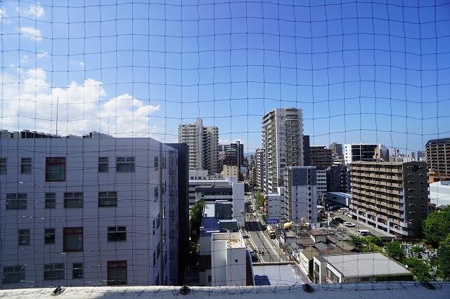 眺望　物件の画像13