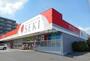 ドラックストア　ドラッグストアセキ　柏たなか店（ドラッグストア）まで787m