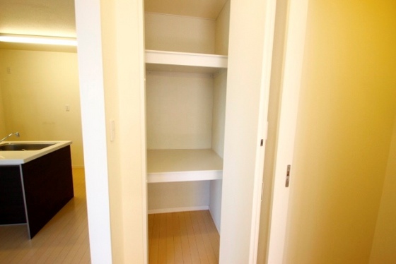 収納　※別部屋の写真です
