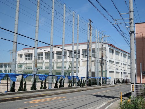 高校・高専　大阪府立りんくう翔南高校（高校・高専）まで1977m