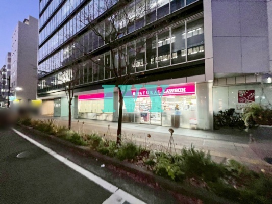 コンビニ　ナチュラルローソン NL新横浜二丁目店（コンビニ）まで539m