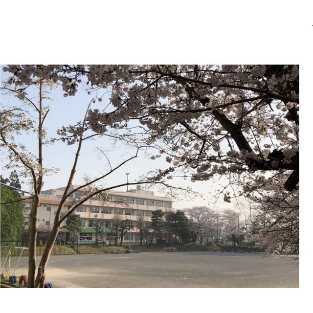 小学校　高根小学校（小学校）まで720m