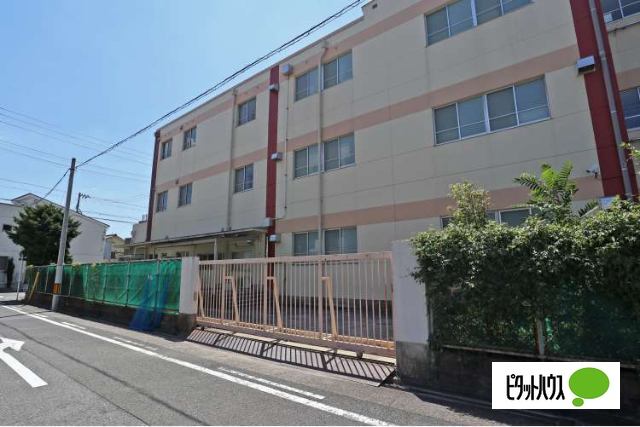 小学校　名古屋市立千成小学校（小学校）まで713m