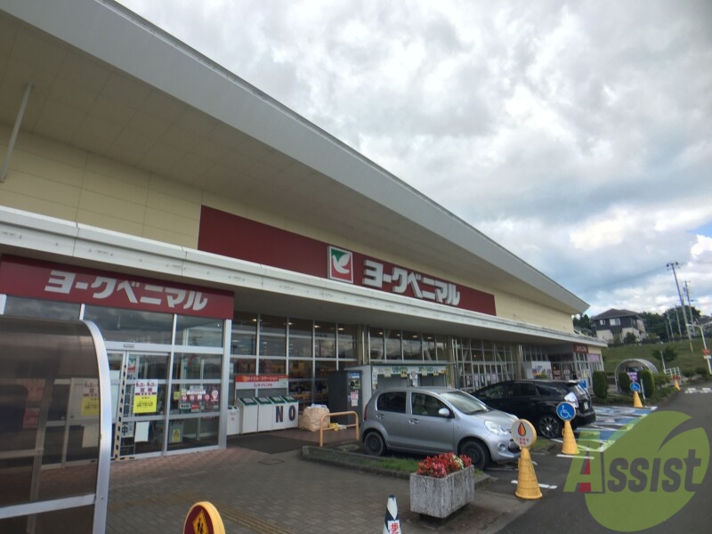 スーパー　ヨークベニマル南中山店（スーパー）まで1997m