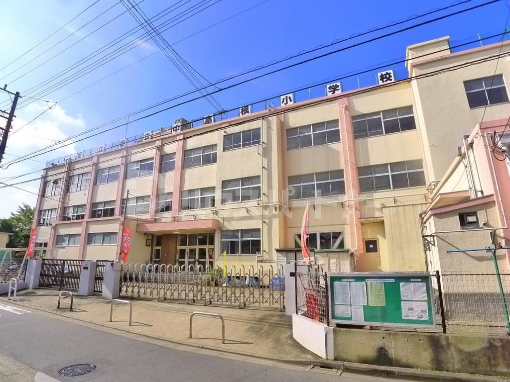 小学校　足立区立中島根小学校（小学校）まで460m