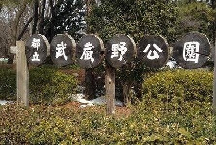 公園　武蔵野公園（公園）まで350m