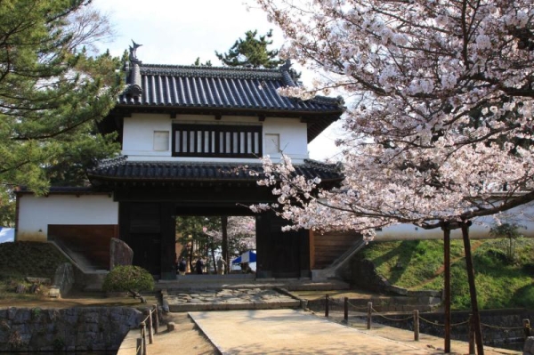 その他　亀城公園（その他）まで3100m