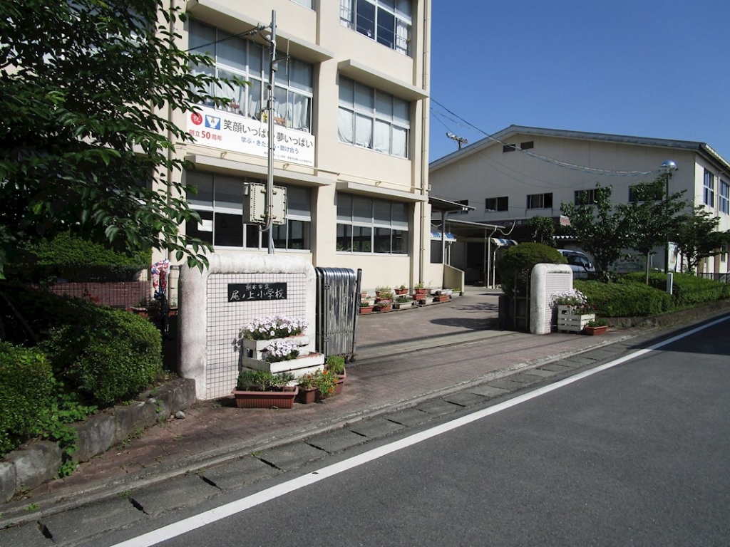 小学校　熊本市立尾ノ上小学校（小学校）まで308m