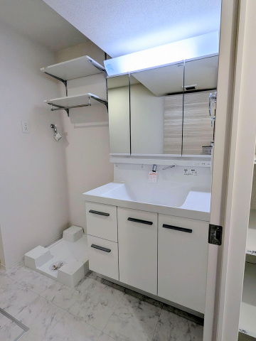 洗面設備　同メーカー同仕様：洗面化粧台と洗濯機置き場