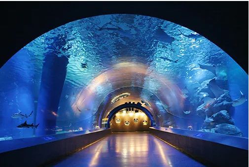 病院　芝浦ホームクリニック（病院）まで217m