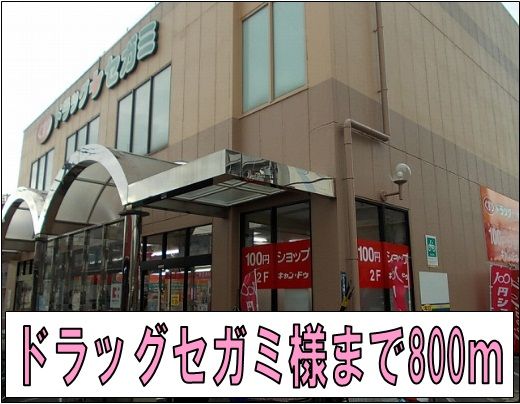 ドラックストア　ドラッグセガミ様（ドラッグストア）まで800m