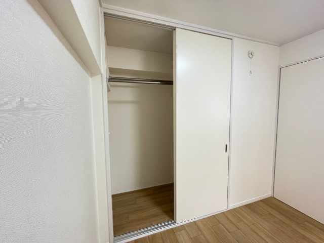 収納　クローゼット収納