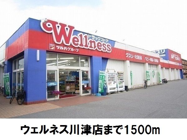 ドラックストア　ウェルネス川津店（ドラッグストア）まで1500m