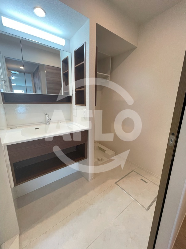 洗面設備　Raccolt阪南町（ラコルト阪南町）洗面所