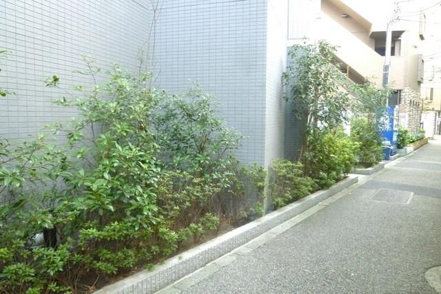 その他　★植栽★