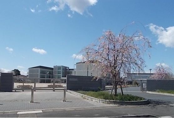 小学校　石岡市立東小学校（小学校）まで550m