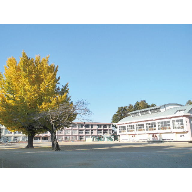 小学校　水戸市立河和田小学校（小学校）まで550m