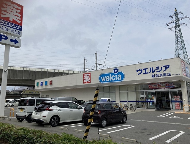 ドラックストア　ウエルシア新潟鳥原店（ドラッグストア）まで510m