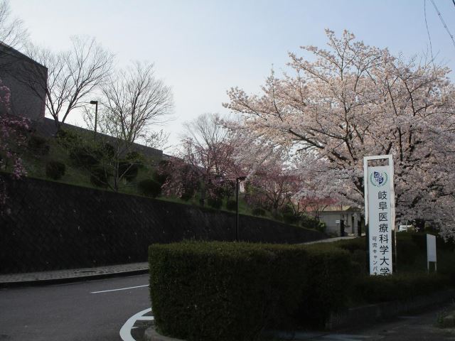 大学・短大　岐阜医療科学大学　可児キャンパス（大学・短大）まで1700m