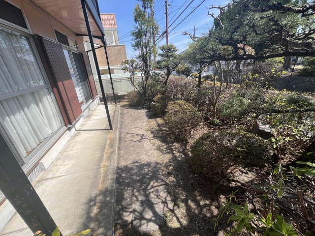 庭