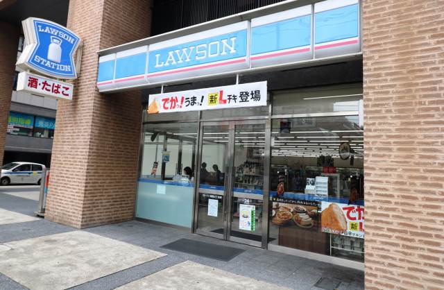 コンビニ　ローソン城西3丁目店（コンビニ）まで317m