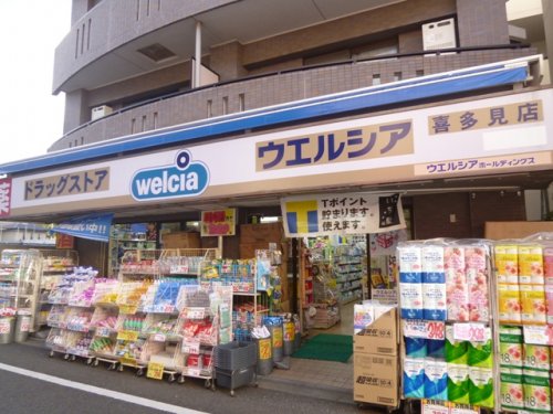 ドラックストア　ウエルシア薬局喜多見店（ドラッグストア）まで605m
