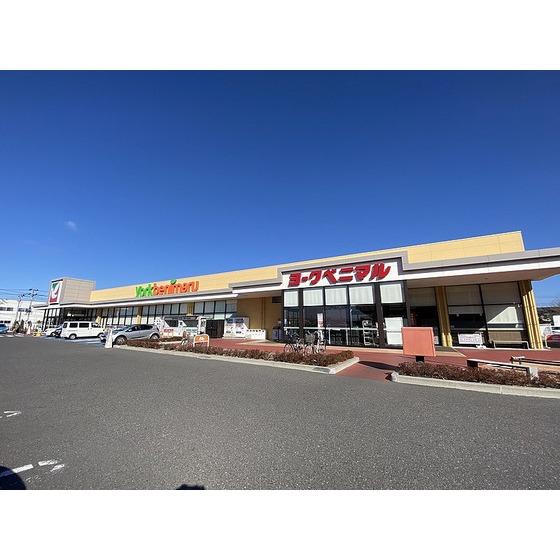 スーパー　ヨークベニマル金屋店（スーパー）まで727m