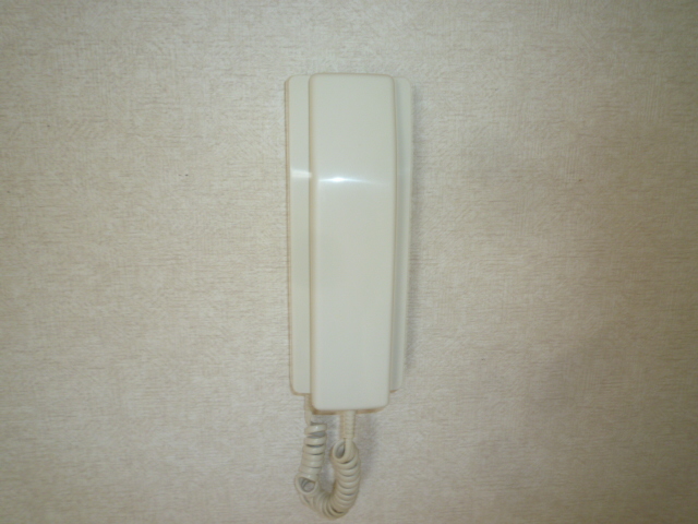 セキュリティ　急な訪問者開錠せず対応出来る　インターホン付