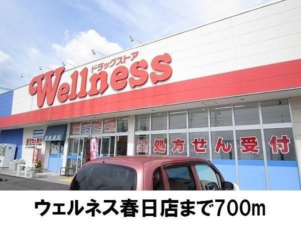 ドラックストア　ウェルネス春日店（ドラッグストア）まで700m