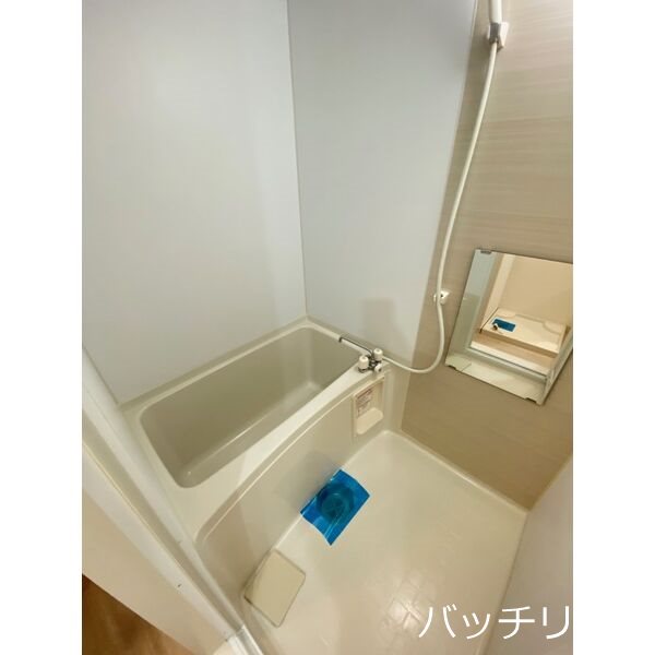 バス・シャワールーム　別号室タイプの為、現状を優先致します。