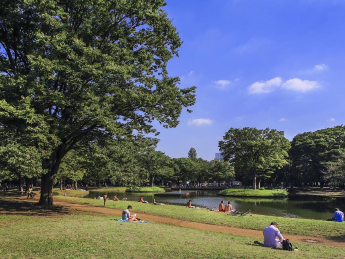 公園　東京都立代々木公園（公園）まで862m