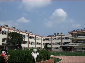 小学校　板橋区立桜川小学校（小学校）まで503m