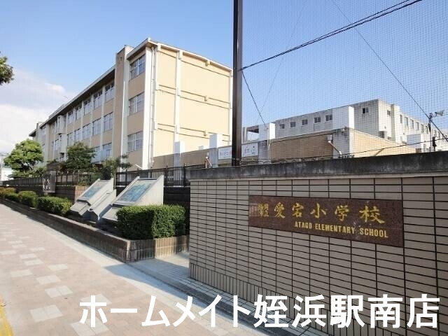 小学校　愛宕小学校（小学校）まで539m