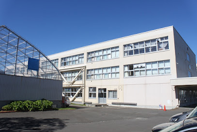 小学校　札幌市立東橋小学校（小学校）まで895m