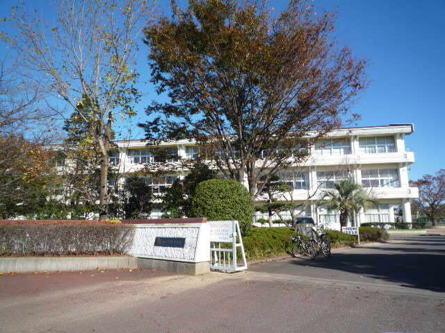 その他　伎倍小学校（その他）まで300m