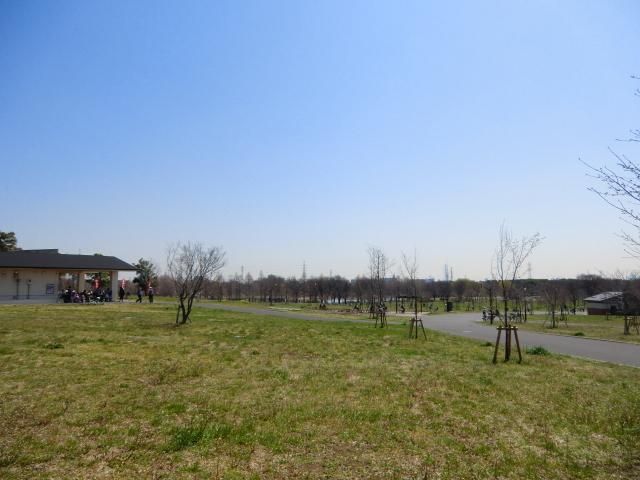 公園　舎人公園（公園）まで750m