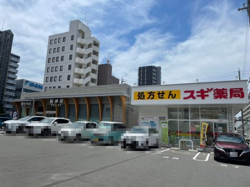 ドラックストア　スギ薬局 清水口調剤店（ドラッグストア）まで873m