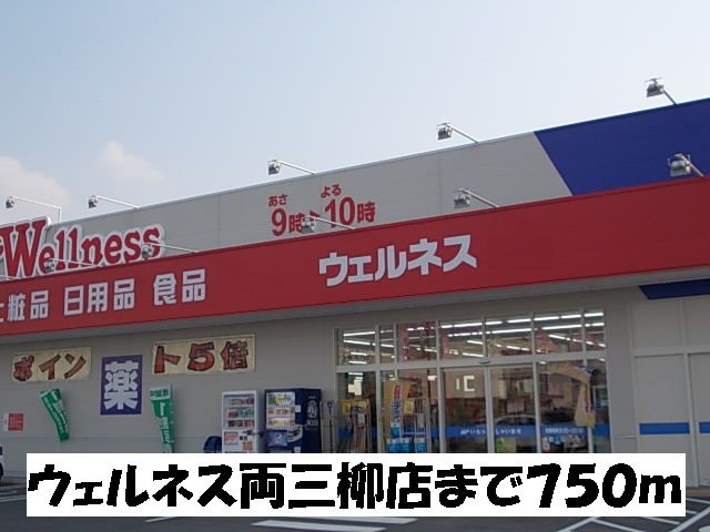 ドラックストア　ウェルネス両三柳店（ドラッグストア）まで750m