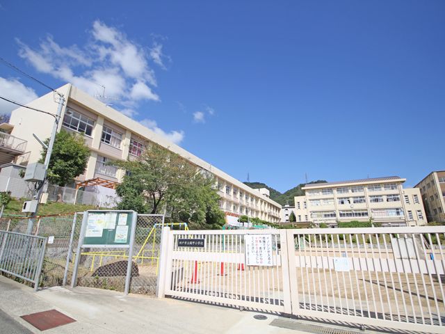 小学校　神戸市立鶴甲小学校（小学校）まで433m