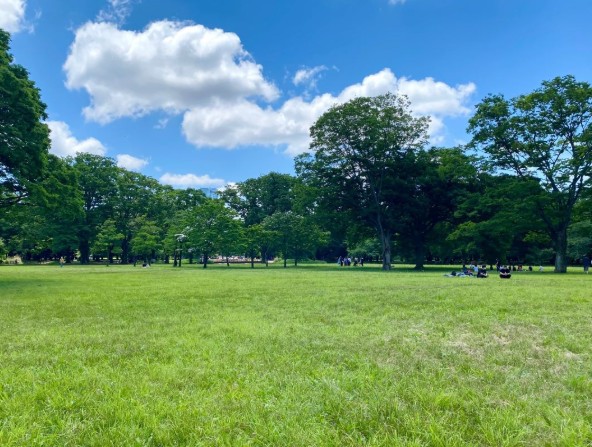 公園　東京都立代々木公園（公園）まで621m