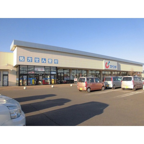ドラックストア　カワチ薬品坂東店（ドラッグストア）まで1500m