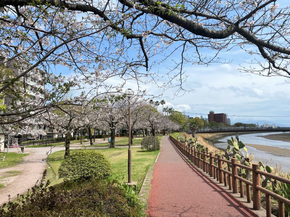 公園　甲突川左岸緑地（公園）まで120m