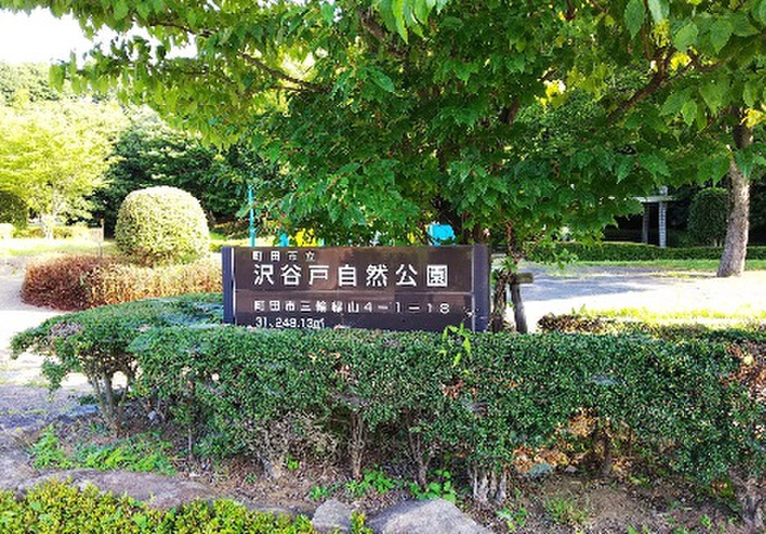 公園　沢谷戸自然公園（公園）まで599m