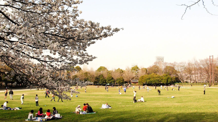 公園　城北中央公園 ドッグラン（公園）まで934m