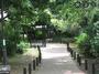 公園　烏山川緑道（公園）まで781m