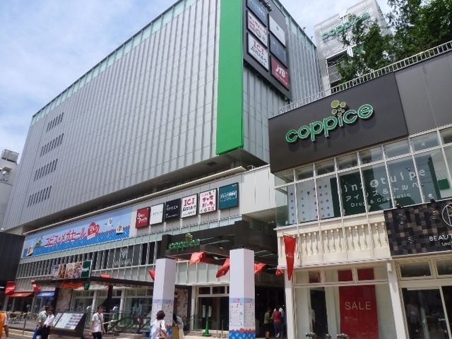 その他　コピス（その他）まで250m