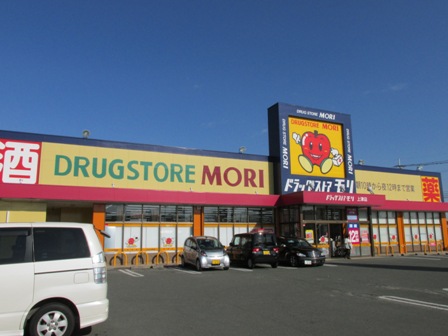 ドラックストア　ドラッグストアモリ 花畑店（ドラッグストア）まで302m