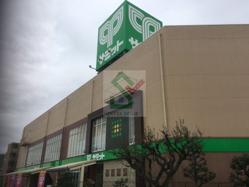 スーパー　サミットストア 環八南田中店（スーパー）まで581m